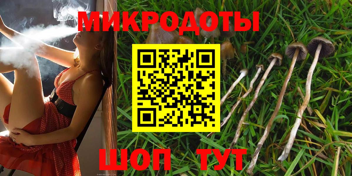 Псилоцибиновые грибы GOLDEN TEACHER  Вход с VPN  где продают наркотики  Зеленогорск  Псилоцибиновые грибы GOLDEN TEACHER 