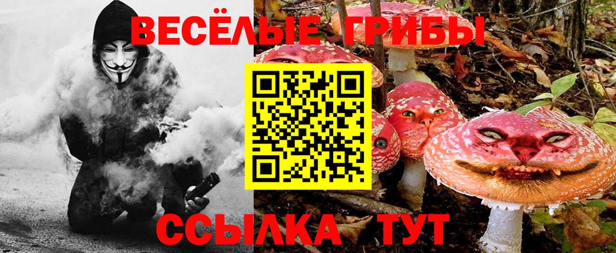 Псилоцибиновые грибы мицелий Зеленогорск